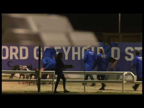 Make No Apologie - Coral Romford Puppy Cup - 1st Semi Final