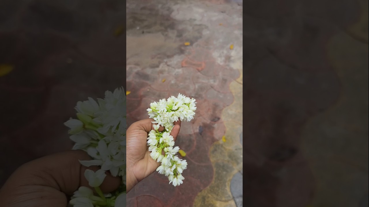 🌧️മഴയത്ത് ചേർത്തലയിലൂടെ ഒരു ഷോപ്പിംഗ് വ്ലോഗ്! 🌧️🛍️ #shorts #shortfeed