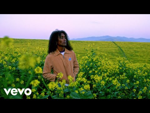 Jelani Aryeh - Sinking Plastic Suns (Official Video)