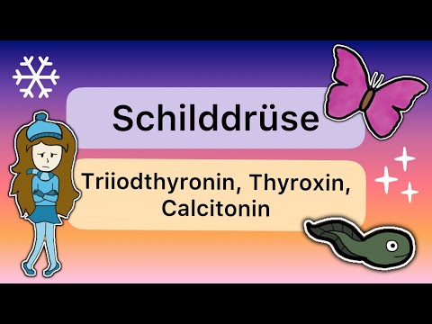 Hormone der SCHILDDRÜSE - Triiodthyronin, Thyroxin, Calcitonin