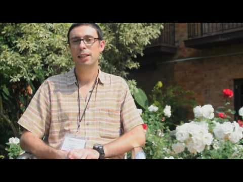 MobileActive08: Ugo Vallauri