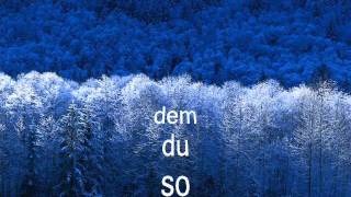 Du hattest keine Tränen mehr - Peter Maffay - meine Cover-Version