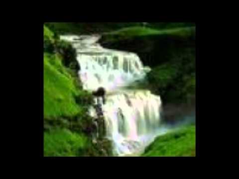 W. D. Amaradeva-handapane weli thala