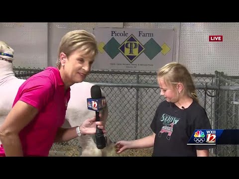 WXII Chief Meteorologist Lanie Pope learns how to shampoo lamb - YouTube
