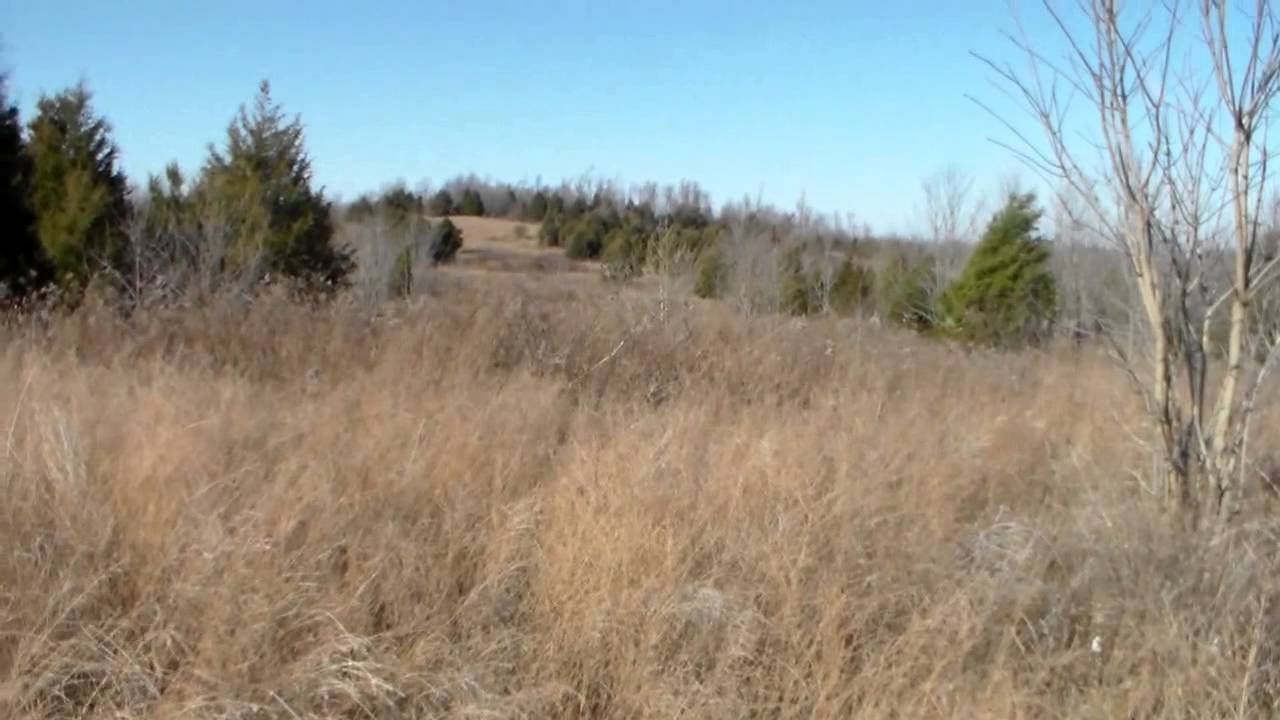 Finding Trophy Deer in Muhlenberg County: Kentucky Hunting Leases