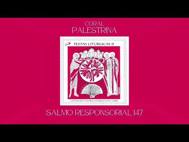Preview do vídeo
