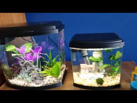 Top fin imagine 5 vs 2.5