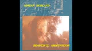 In Passing - Adrian Borland
