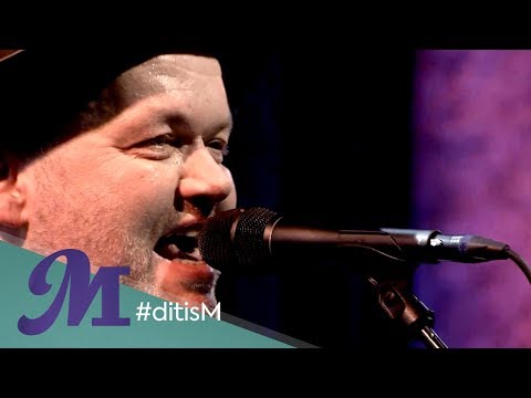 Daniël Lohues - 'Prachtig mooie dag' (LIVE) | Margriet van der Linden