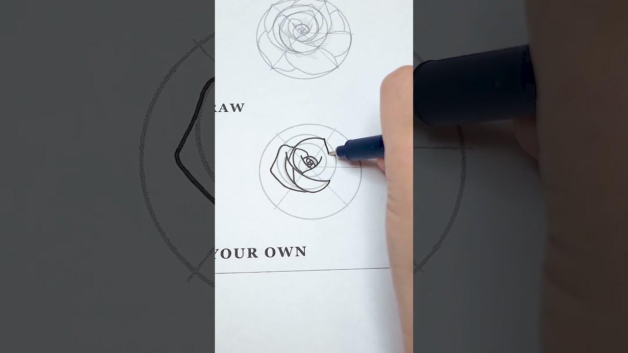 How to draw a rose from the Ultimate flower drawing guidebook 💐✨