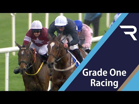 2019年レーシングポストアプリチャンピオンINH.フラットレース フォーザコニンガムカップ - レーシングTV (2019 Racing Post App Champion INH. Flat Race For The Conyngham Cup - Racing TV)