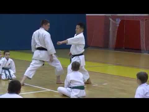 Best karateTechniques Sensei  Hasegawa