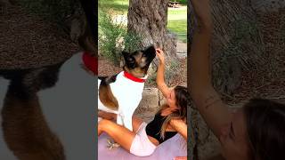 Every Workout Turns Into Playtime With My Dog 😂 #funnydogshorts #doglife #fitnessfun #dogs