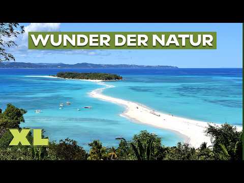 Geheimnisse der Anden & Madagaskar: Eine gigantische Natur-Doku