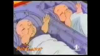 Gemelli nel segno del destino sigla [ cover Patry ]