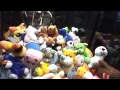 Winning Max Rabbit In The Claw