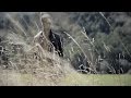 Unrated No Way Out OFFICIAL VIDEO