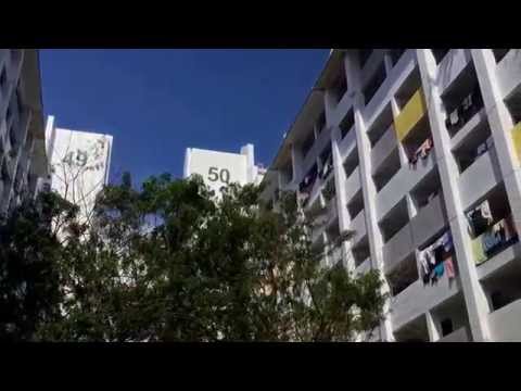 For Rent 2+1 Circuit Road Blk 49