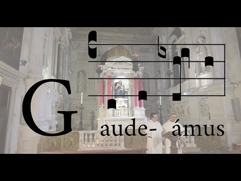 Gaudeamus O.P. (In Assumptione Beatae Mariae Virginis)