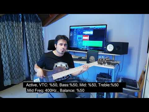 PITBULL STRINGS & MARUSZCZYK SPUTNIK 5A 400Hz Tone %50