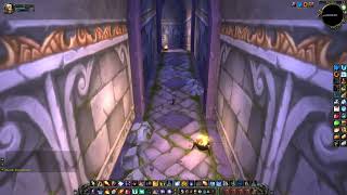 How to get to Dire Maul Library / Dire Maul Athenaeum, WoW Classic / WoW SoD
