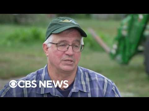Farmers consider backing other politicians as they struggle to make a living