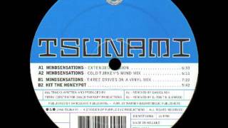 Sidewinder - Mindsensations (Cold Turkey's Mind Mix)