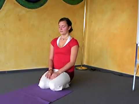 Mayurasana - der Pfau  - Yoga für Fortgeschrittene