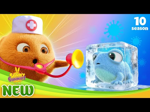 BRAND NEW | Turbo the Doctor | Sunny Bunnies Season 10