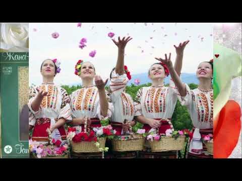 Resuma filmo de la 41-a Kantoparado