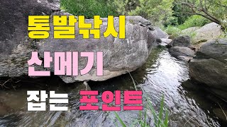 통발낚시 이런 곳이 산메기 포인트!!! 최고의 라면 매운탕 먹어보자