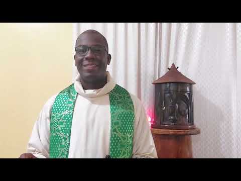 Évangile du jour du 14 novembre 2025