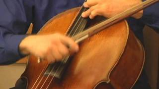 Deep Woods Blues, for solo cello Lawrence Zoernig, 2010.wmv