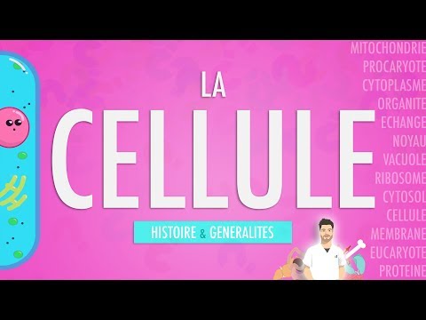 LA CELLULE - INTRODUCTION (Partie 1)