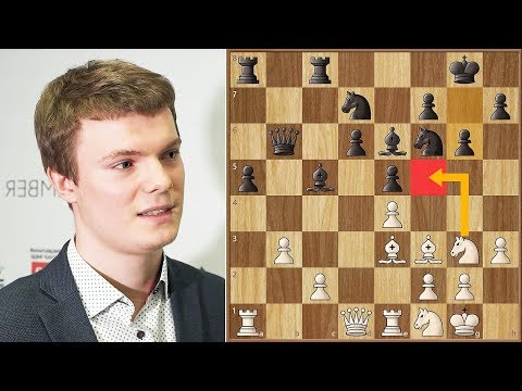 The Wildcard || Kirill Alekseenko