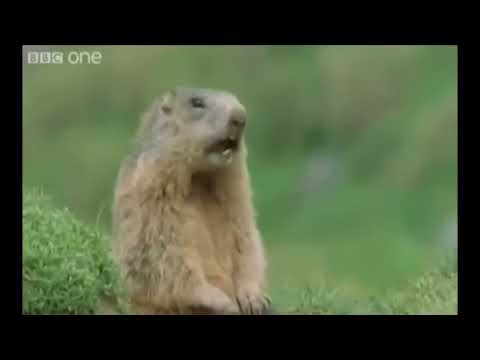 Adam Adaś Adam a nie to Witek!