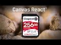 Class 10 UHS-I SD Cards - Canvas React - Kingston Technology
