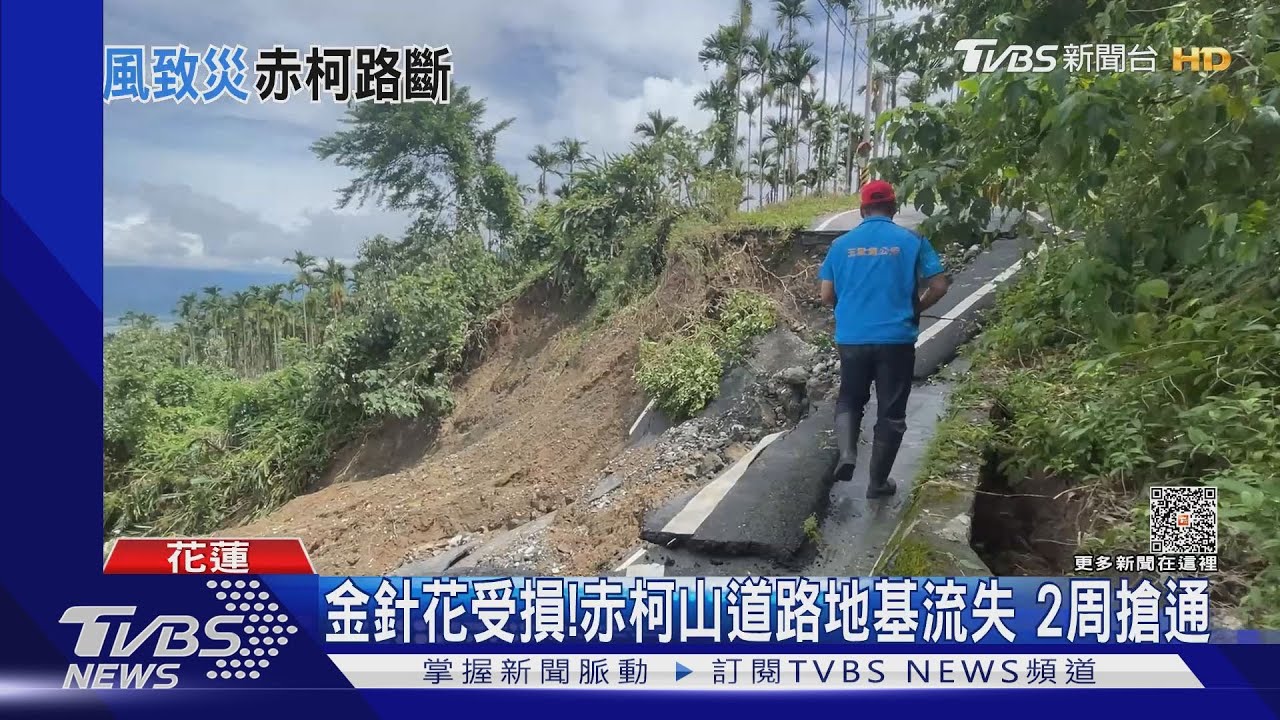 金針花受損!赤柯山道路地基流失 2周搶通