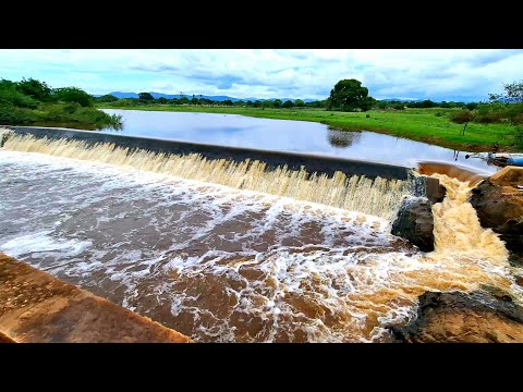 TODAS AS BARRAGENS DO MUNICÍPIO DE RIO DO PIRES BAHIA JÁ ESTÃO CHEIAS #bahia #nordeste #sertão