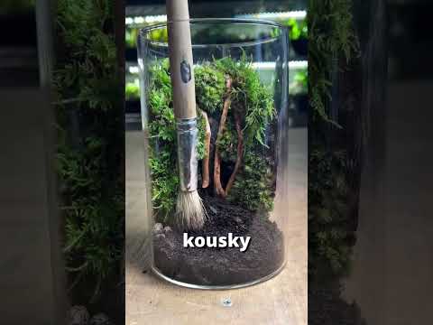 VLASTNÍ EKOSYSTÉM!