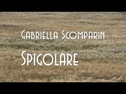 Spigolare - Gabriella Scomparin (Booktrailer)