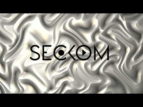 GO LOCO (SECKOM FT DR STEEVE)