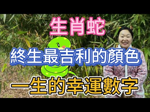 蛇 數字