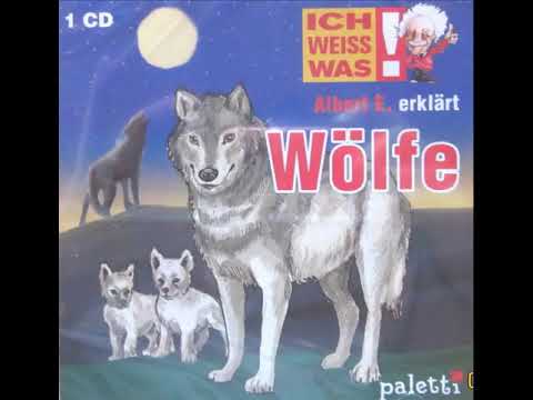 Albert E. erklärt Wölfe