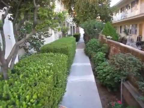 PL6934 - Newly Remodeled 2+1 Hollywood Apartment For Rent