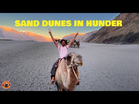 World’s best camel ride in hunder | nubra valley | punjabi solo traveller | episode: 23