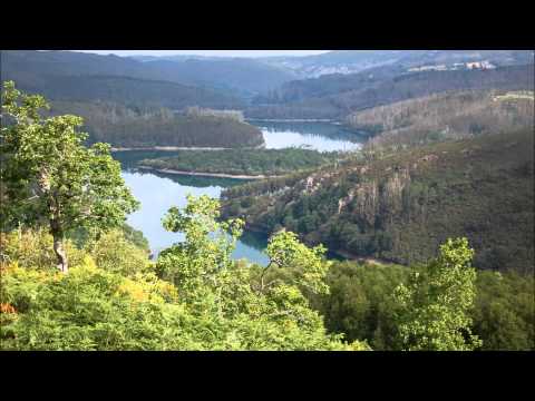 Wayne Gratz   Summer Fields