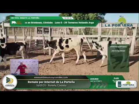 16-05-25 - Remate por Internet de La Porteña Remates - Porteña, Córdoba
