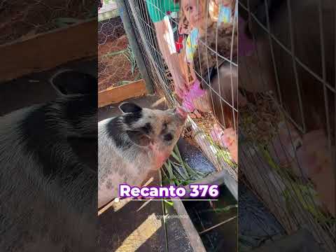 15 lugares que você precisa conhecer em Marialva