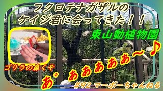 #92【東山動植物園】ケイジ君に会いに行くぞ！